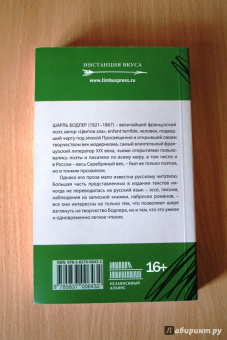 Шарль Бодлер: Мое обнаженное сердце:  Статьи, эссе