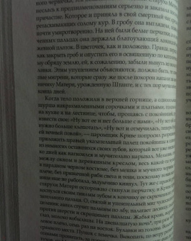 Гюнтер Грасс: Собачьи годы