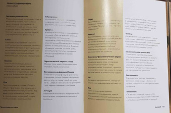 Бэтти, Клегг, Феллоу: Эволюция за 30 секунд