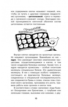 Борис Сергеев: Как устроен человек