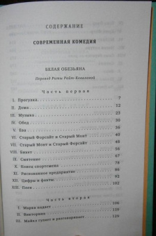 Джон Голсуорси: Современная комедия. В 2-х томах