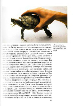 Райнер Прашага: Красноухие черепахи. Содержание и уход