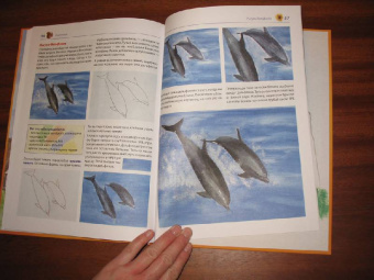 Уте Людвиг-Кайзер: Мои первые уроки рисования. Акварель