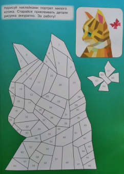 Котята и кошки