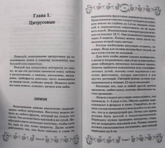 С. Калюжный: Экзотические фрукты и растения:  выращиваем дома круглый год