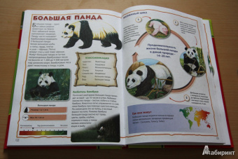 Моя первая книга о животных