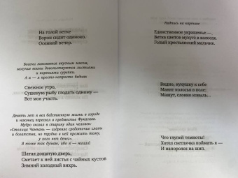 Мацуо Басё: "Лик вечерней луны". Хайку