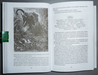 Луи Буссенар: Похитители бриллиантов