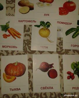 Раздаточные карточки "Овощи" (63х87 мм)