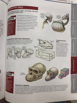 ImagineFX: Анатомия. Создание реалистичных людей и животных + мастер-классы по QR-коду