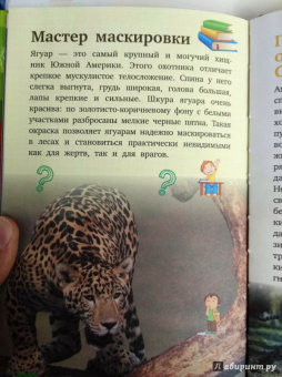 Дмитрий Кошевар: Животные