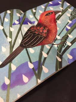 Цветные сказки