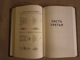 Брендон Сандерсон: Устремленная в небо