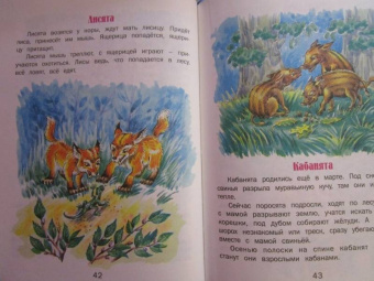 Геннадий Снегирев: Верблюжья варежка