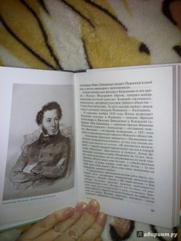 Владимир Новиков: Пушкин