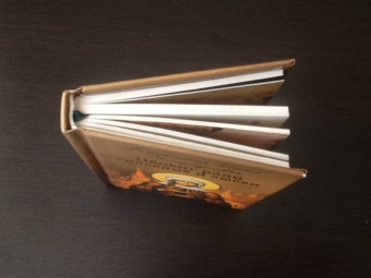 Подвиг ради спасения и любви. Блаженная Ксения Петербургская