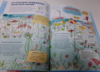 Амандин Тома: Через океаны