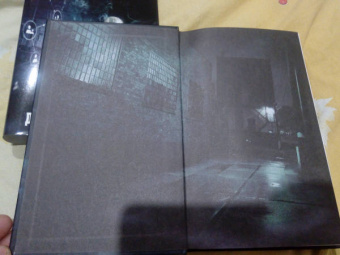 Дан Сельберг: Синон