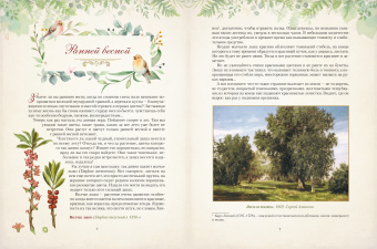 Николай Золотницкий: Дары русского леса. Грибы, ягоды и целительные растения