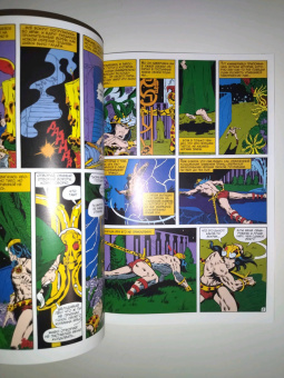 Рой Томас: Конан-варвар. Башня Слона