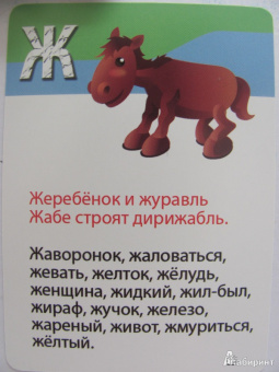 Марина Дружинина: Азбука, счет, цвета. 3-7 лет. 50 веселых стишков. 50 карточек