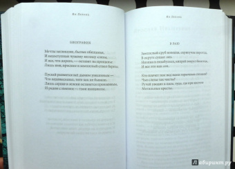 Среди печальных бурь. Из польской поэзии XIX-XX веков