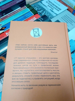 Павел Строганов: 17 практик стоицизма. Как укротить жизненный хаос по-философски
