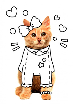 Раскраска с фото. Пушистики