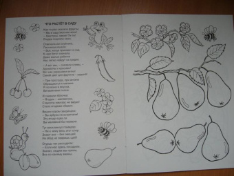 Что растет в саду