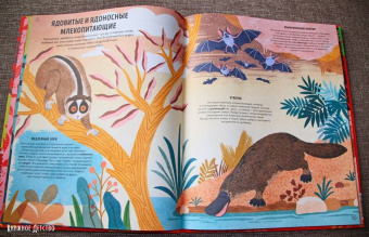Ико Ромеро: Ядовитые животные. Кто, зачем и как использует яды в дикой природе