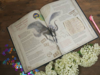 Уоллс МакМиллан: Великая книга Единорогов