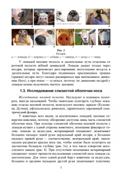 Людмила Анникова: Исследование дыхательной системы животных. Практическое руководство. Учебно-методическое пособие
