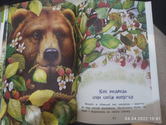 Николай Сладков: Лесные сказки