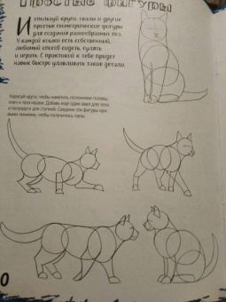 Марк Берджин: Школа рисования. Кошки