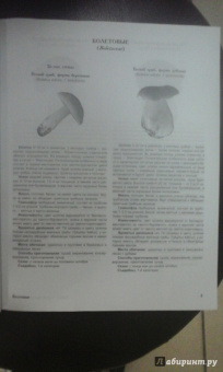 Матанцев, Матанцева: Грибы. Справочник-определитель