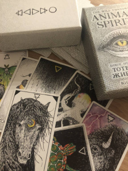 Ким Кранс: The Wild Unknown Animal Spirit. Дикое Неизвестное тотемное животное. Колода-оракул (63 карты и рук.)