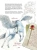 Уоллс МакМиллан: Великая книга Единорогов