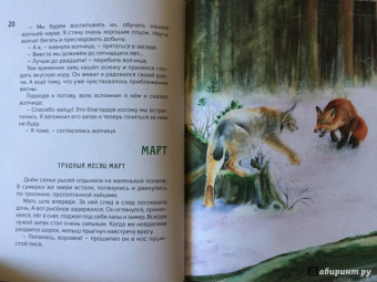 Марфа Соколич: Большой сказочный календарь