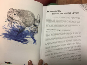 Джанумберто Аччинелли: Эффект домино. Невидимые нити природы