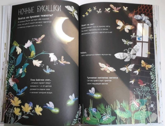 Зоммер, Тейлор: Большая книга букашек