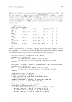 Эрик Чоу: Python для сетевых инженеров. Автоматизация сети, программирование и DevOps