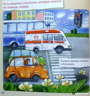Инна Карпова: Шофер