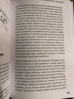 Стёстад Нюборг: Волшебная эволюция. Зачем рыбы взбираются по водопадам, а пауки танцуют