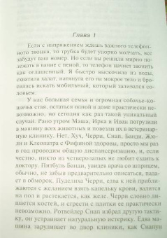 Дарья Донцова: Легенда о трех мартышках