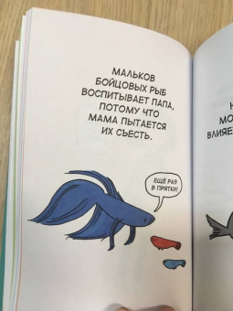 Брук Баркер: Грустные факты о детенышах