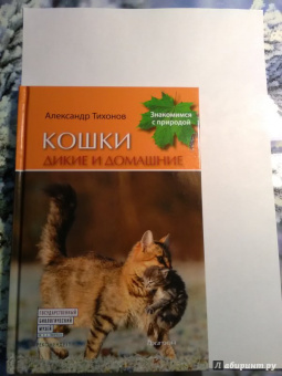 Александр Тихонов: Кошки дикие и домашние