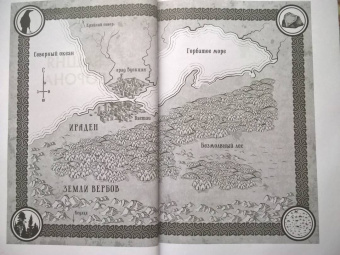 Энн Леки: Башня Ворона