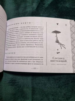 Арабо Саргсян: Оракул Сад Гекаты. О болезнях тела и души. 50 карт + брошюра