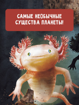 Манчини, де: Поразительные животные, которые выглядят как пришельцы