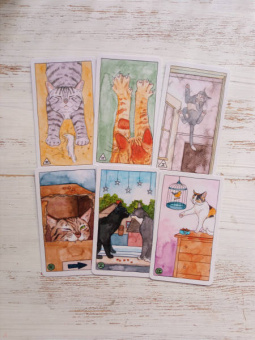 Котт Линн: Cat Tarot. Таро Котиков, 78 карт и руководство в подарочном футляре